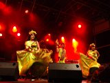 Karibik Show, karibische Tänzerinnen Tänzer, Limbo Show, Calypso, Merengue, Salsa, Reggaeton, Kizomba, Bachata, Soca Tanz Show. Exotisches Feuer der Karibik, original karibische Tänze.jpg
